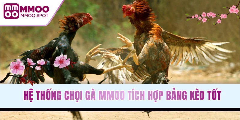 Hệ thống chọi gà MMOO tích hợp bảng kèo tốt